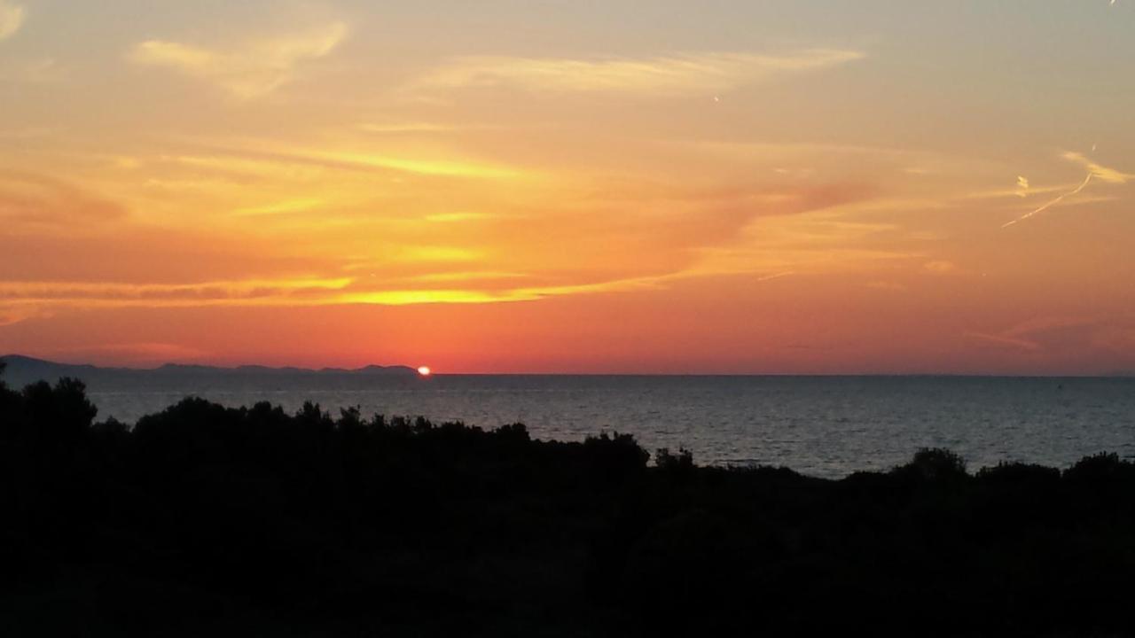 Apartment Puntamika Zadar Bagian luar foto
